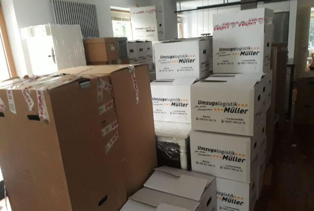 Labor Umzug preise erfahren in Rochlitz